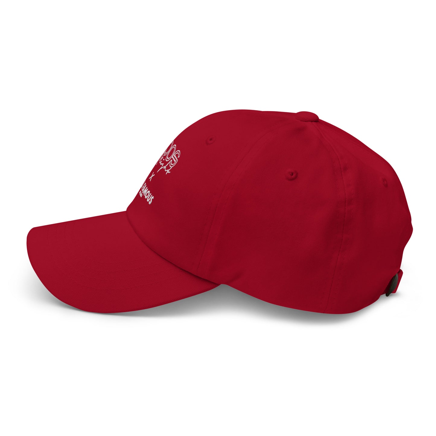 EPOS X STILLFAMOUS CAP